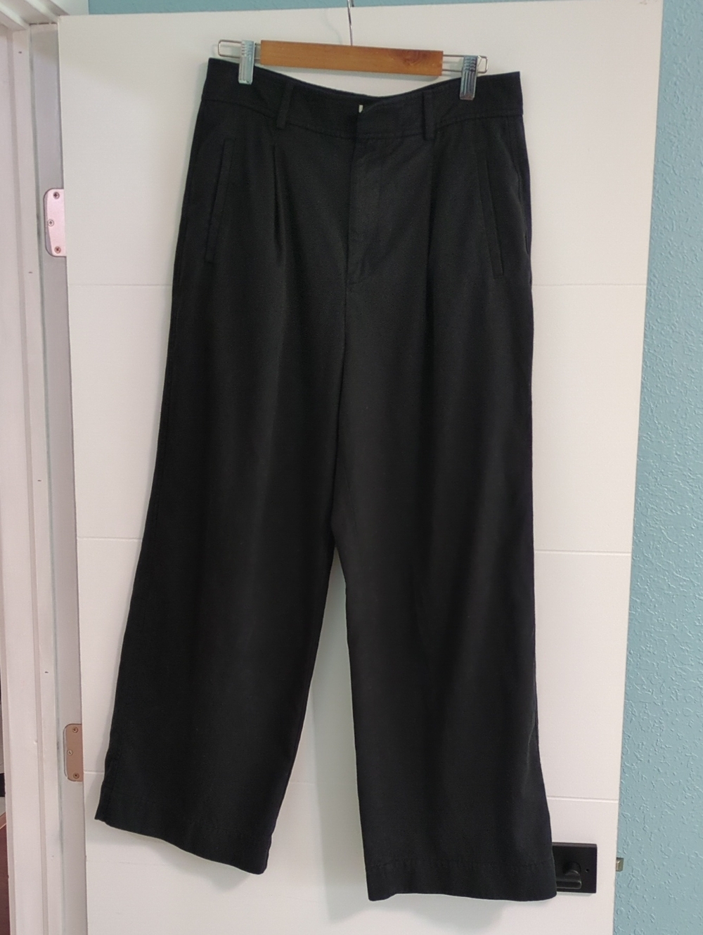 Everlane Classic Black Pleated Wide-Leg Women’s Pants Sz 12S